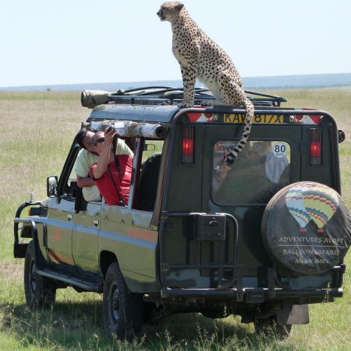 4 Days Masai Mara Lake Nakuru Naivasha group Joining safari
