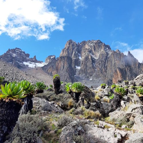 3 Days Mount Kenya Trek using the Sirimon Route