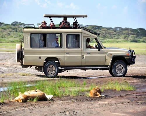 Safari Landcruiser