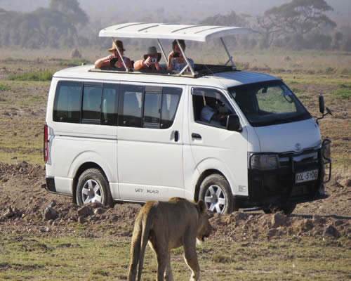 Safari Van