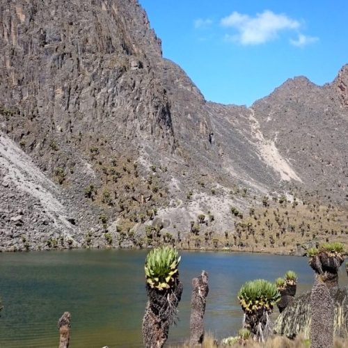 3-Day Mount Kenya Climbing via Naro Moru Route