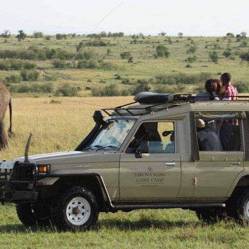 5-Day Masai Mara, Lake Nakuru and Lake Naivasha private Safari